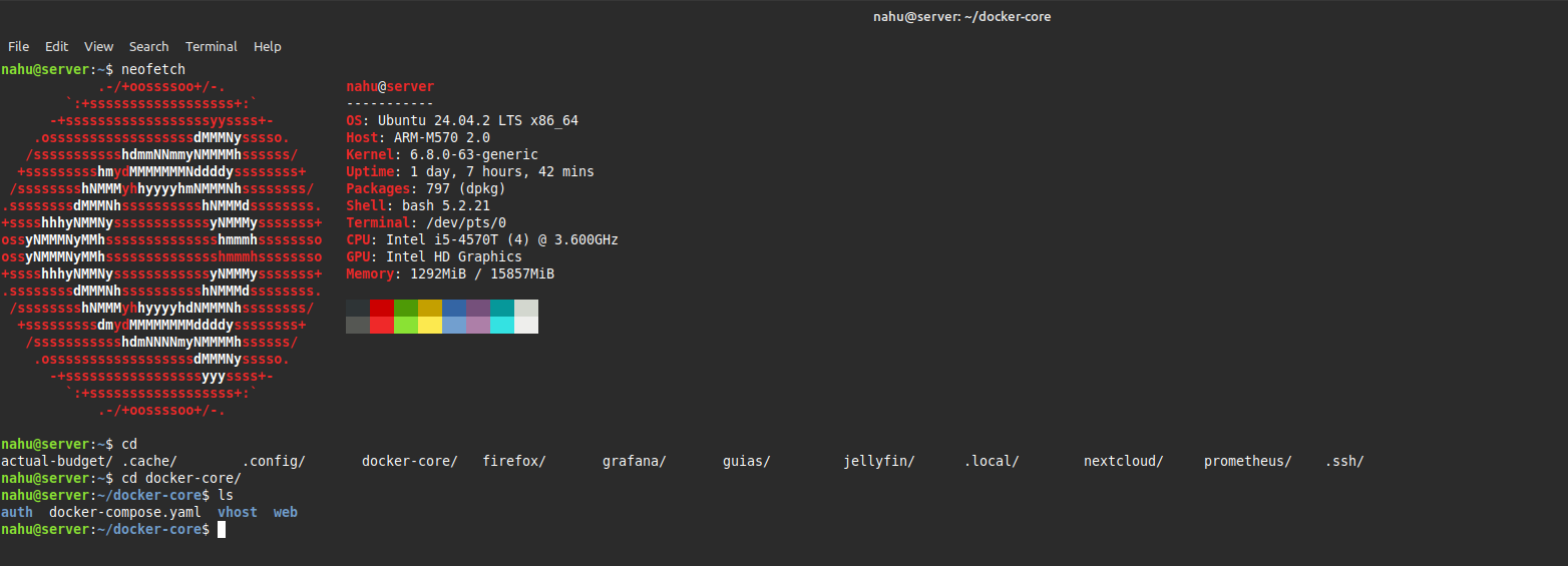 Captura del servidor Docker